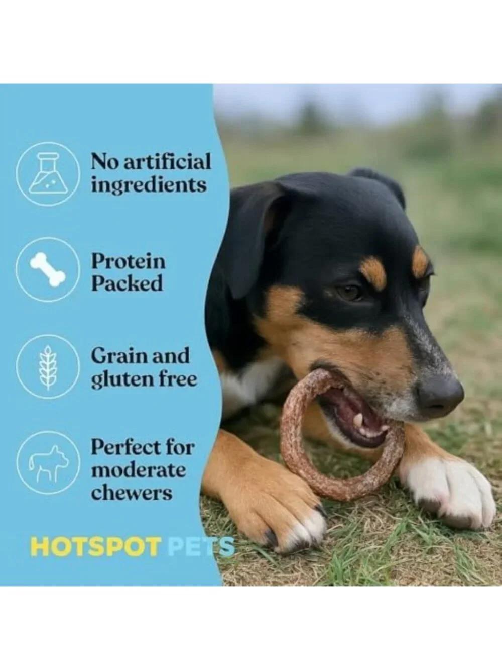 Premium All-Natural Bully Stick Rings for Dogs - 10 Pack, Grain-Free Chew Treats